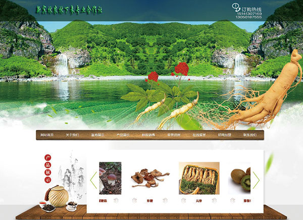 新賓林農(nóng)林下參專(zhuān)業(yè)合作社